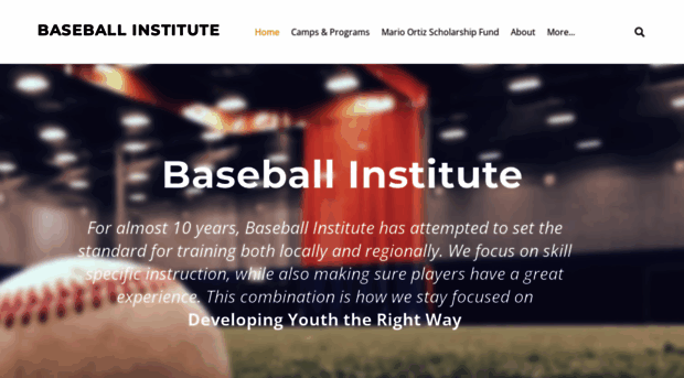 baseball-institute.com