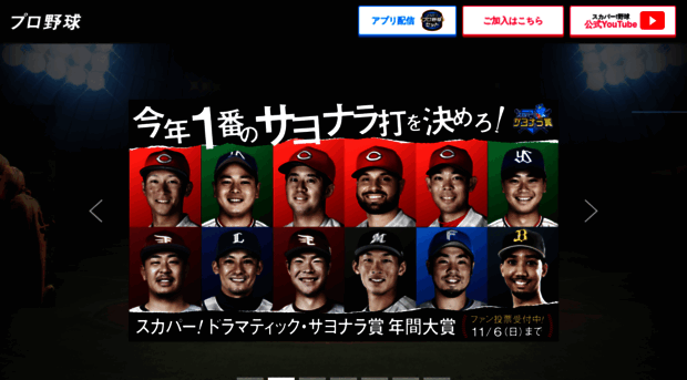 baseball.skyperfectv.co.jp