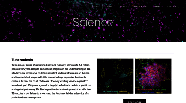 baselimmunology.com