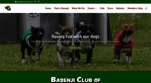 basenjiclubwi.org