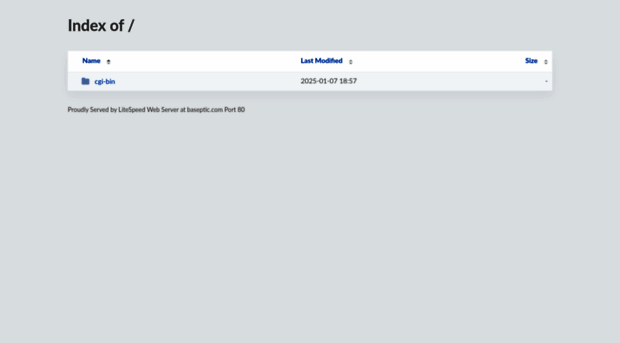 baseptic.com