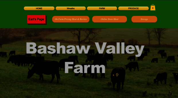 bashawvalley.com