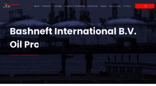 bashneftinternational.com
