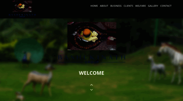 bashukinathgroup.com