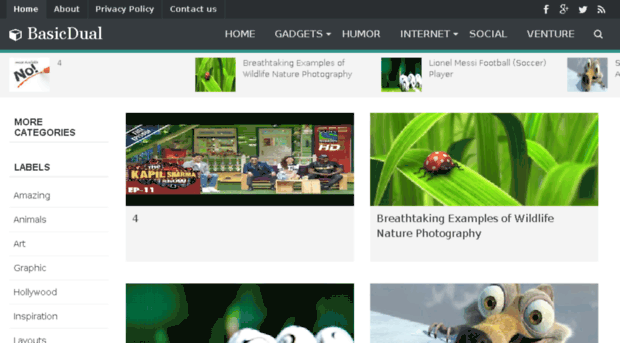 basicdual-bloggertheme9.blogspot.in