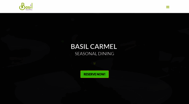 basilcarmel.com