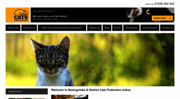 basingstoke.cats.org.uk