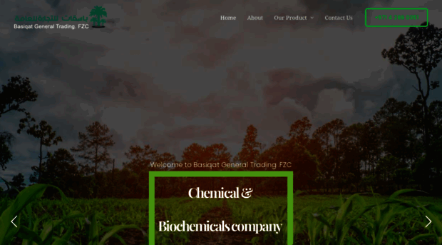 basiqatuae.com