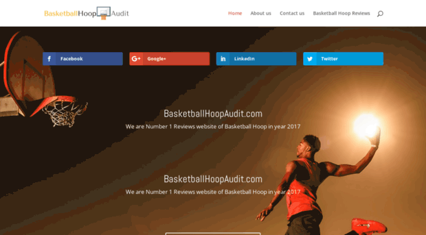 basketballhoopaudit.com