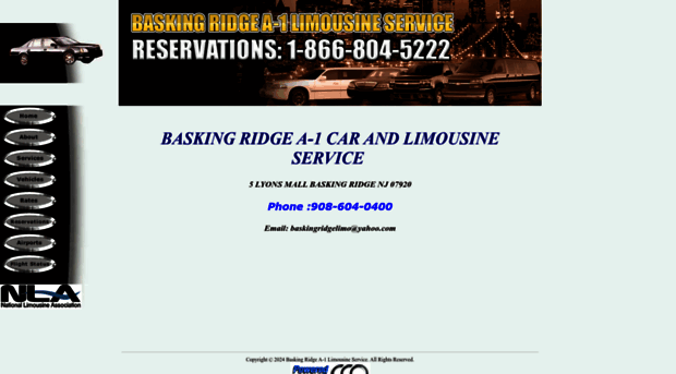 baskingridgea1limo.com