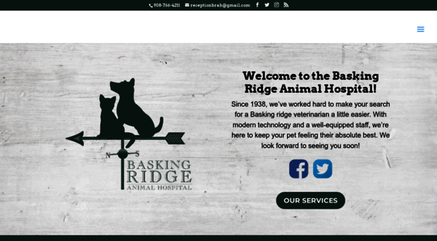 baskingridgeanimalhospital.com