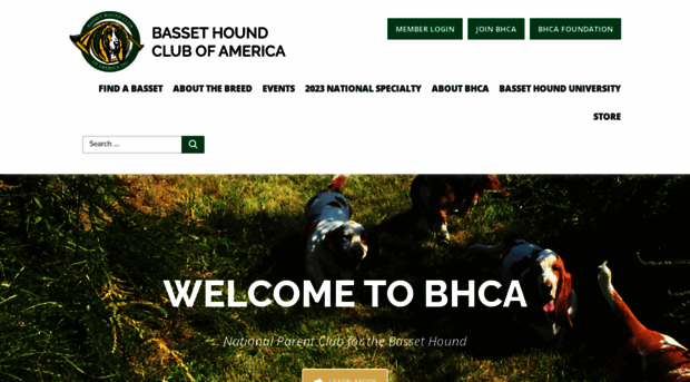 basset-bhca.org