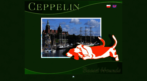 basset-ceppelin.com.pl