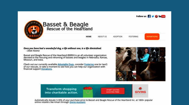 bassetandbeagle.org