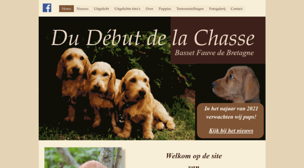 bassetfauvedebretagne.nl