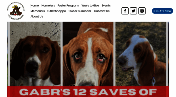 bassetrescue.org