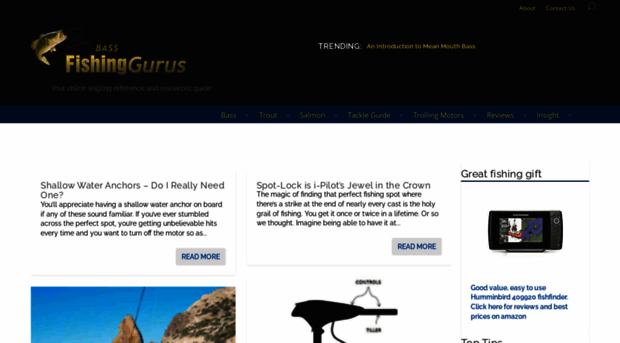 bassfishing-gurus.com