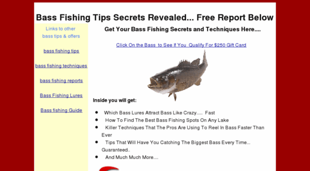 bassfishingtips.net-as.info