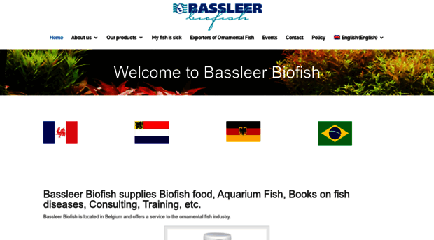 bassleer.com