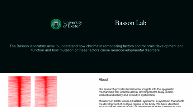 bassonlab.com