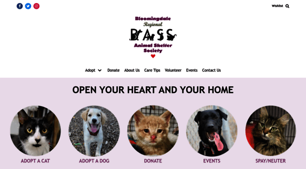 bassshelterpets.org