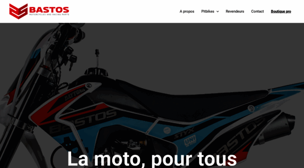 bastos-bike.com