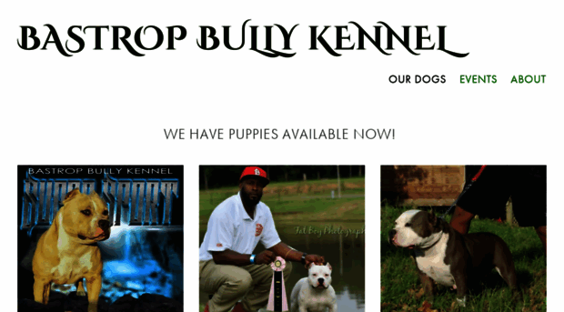 bastropbullykennel.com