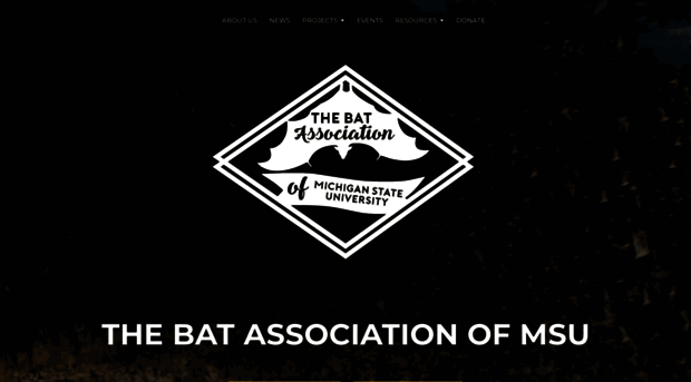 batassociation.org