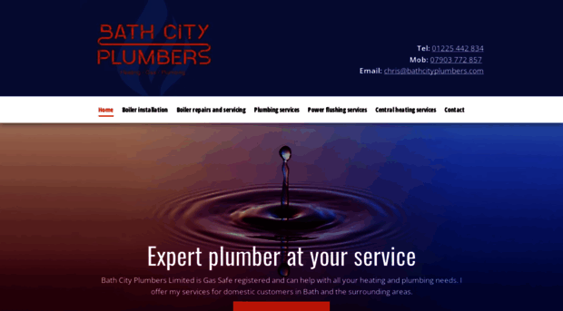 bathcityplumbers.com