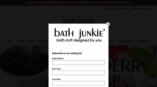 bathjunkieplano.com