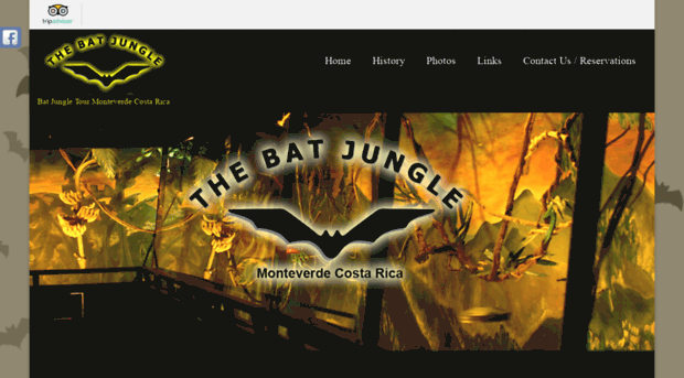 batjungle.com