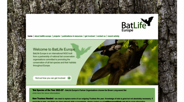 batlife-europe.info