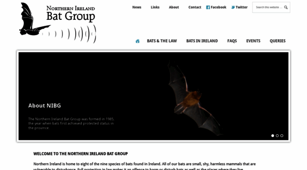 bats-ni.org.uk - The Northern Ireland Bat Group - Bat Sni