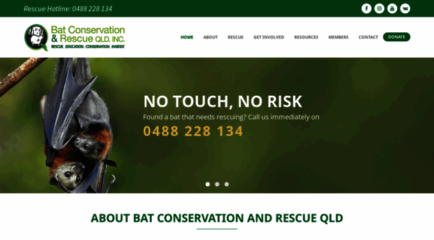 bats.org.au