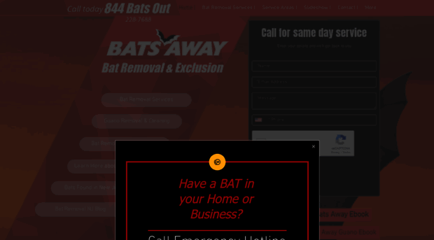 batsaway.com