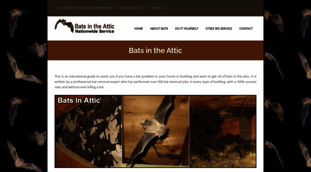 batsintheattic.org