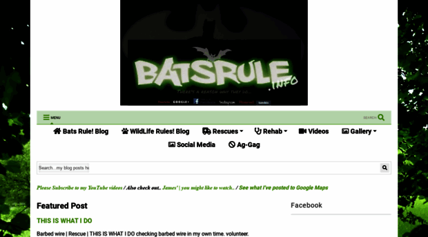 batsrule-helpsavewildlife.blogspot.com