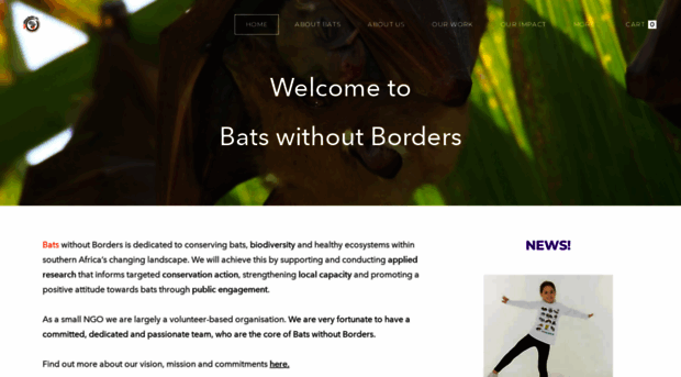 batswithoutborders.org