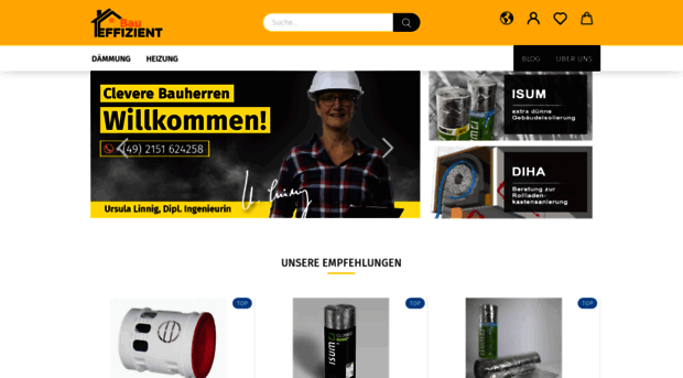 bau-effizient.de