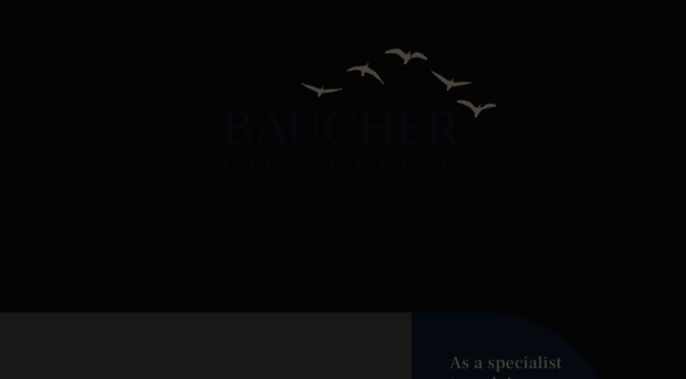 baucher.tax