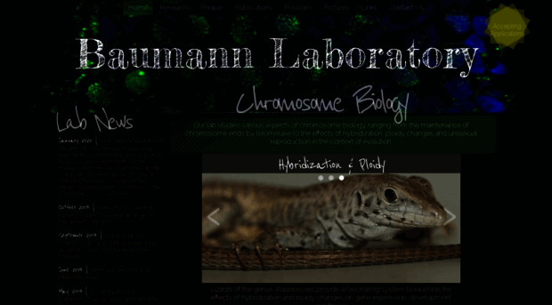 baumannlab.org