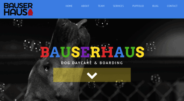 bauserhaus.com