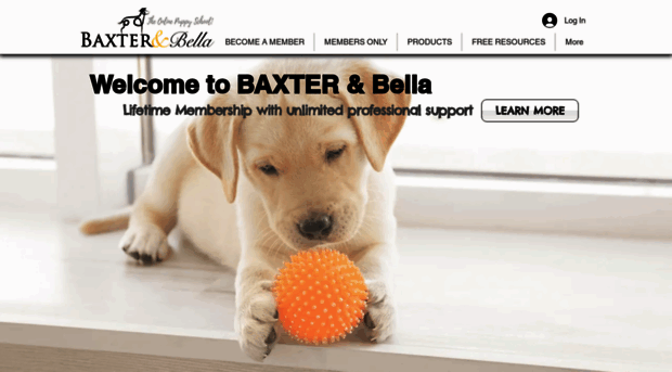 baxterandbella.com