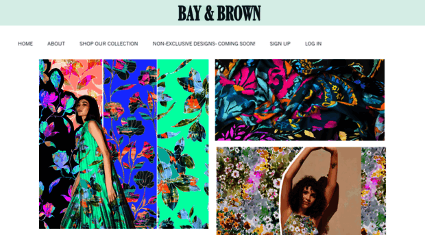 bayandbrown.com