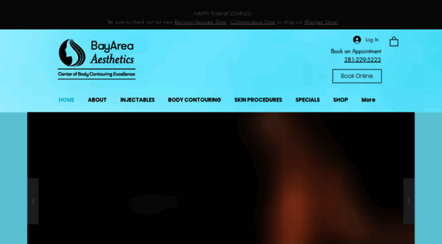 bayareaaesthetics.net