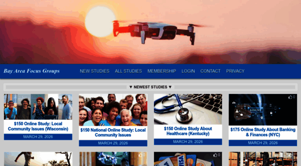 bayareafocusgroups.com
