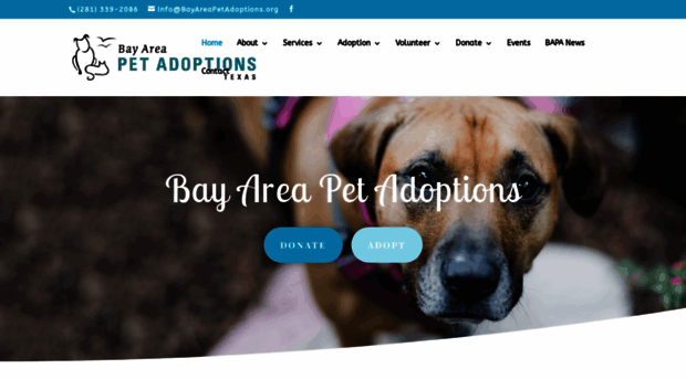 bayareapetadoptions.org