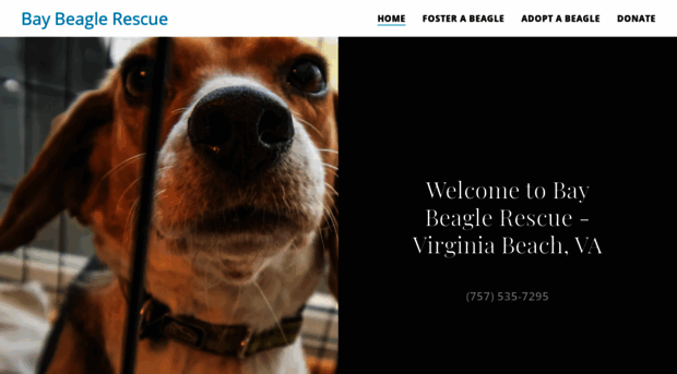 baybeaglerescue.org