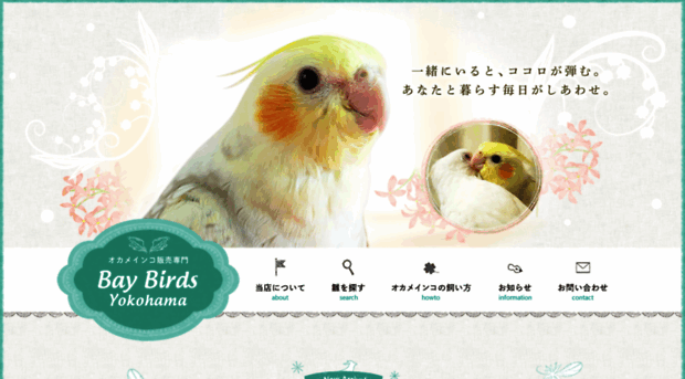 baybirds-okame.com