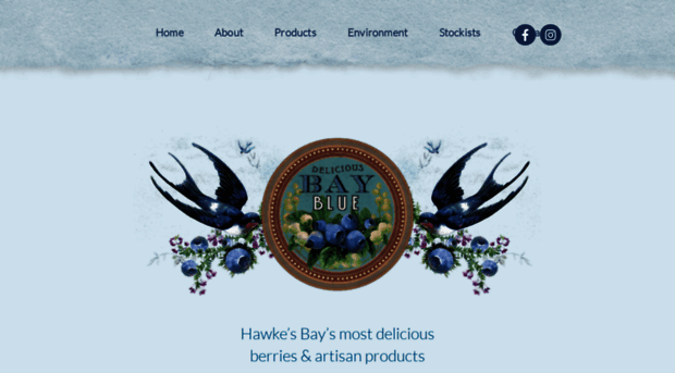 bayblue.co.nz